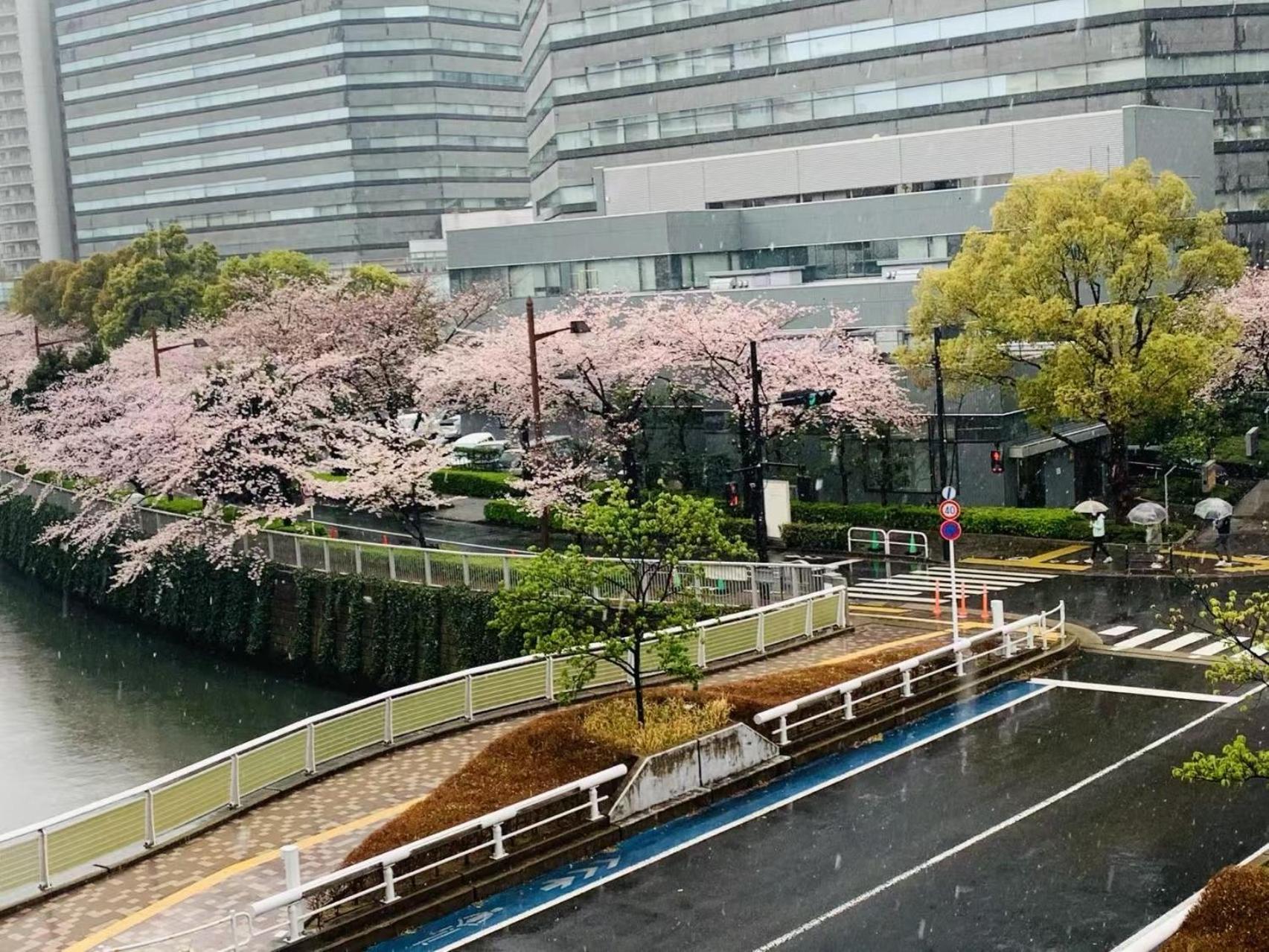 品川東五反田駅徒歩5分の最上階バルコニー付き贅沢体験 Apartment Tokyo Exterior photo